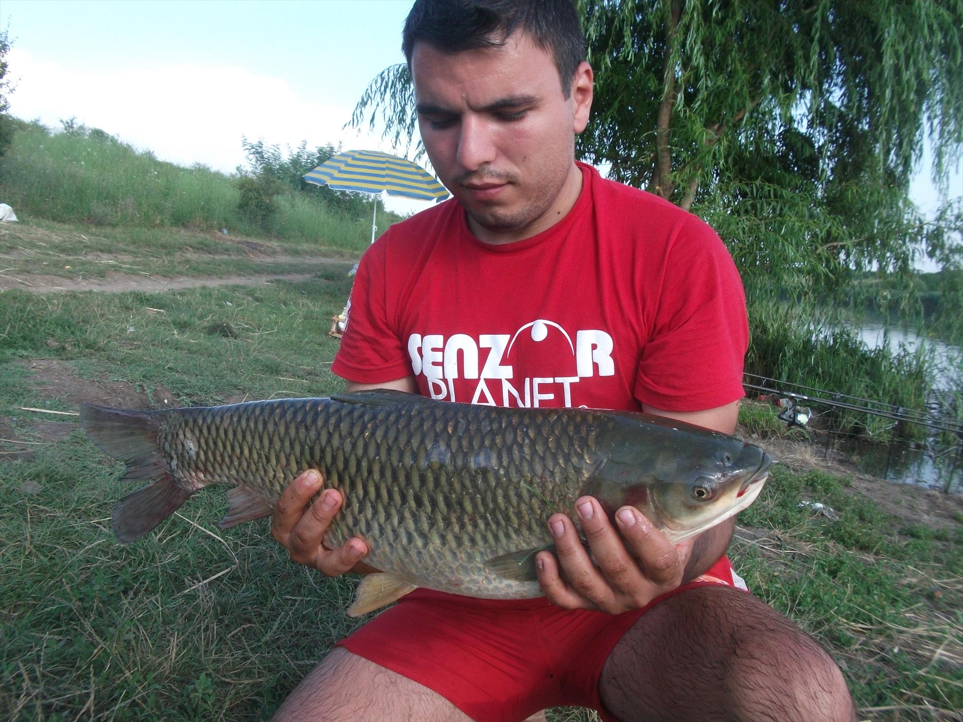 Walter 25-26.07.2013 - dscf0788.jpg